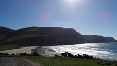DSC04267