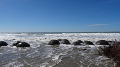 DSC04394