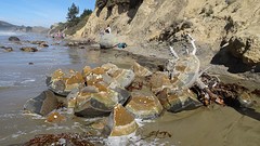 DSC04419