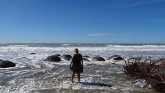 DSC04396