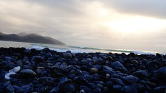 DSC04667