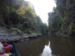 G0038505