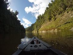 G0058515