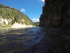G0158624
