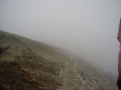 G0148842
