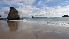 DSC04845