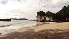 DSC04860