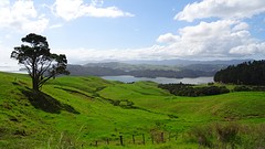 DSC04897