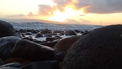 DSC04918