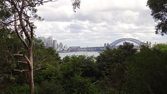 DSC04977