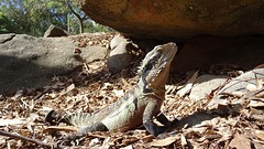 DSC05001