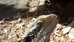 DSC05002