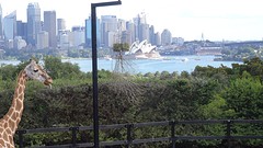DSC05022