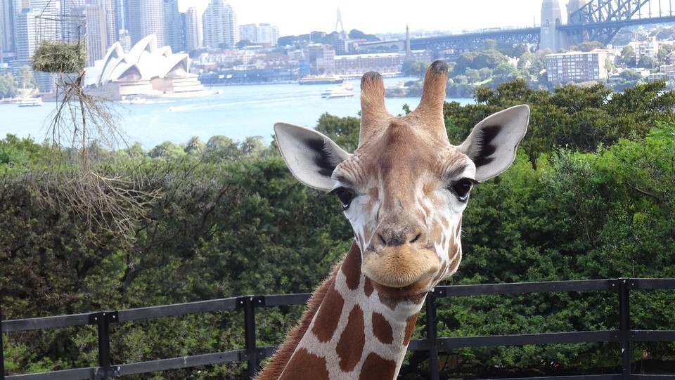 DSC05023