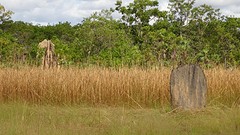 DSC05085