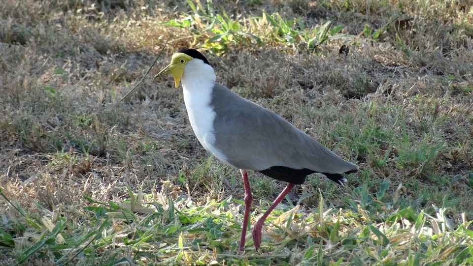 DSC05095
