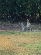 IMG-20160419-WA0001