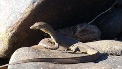 20160423_083309