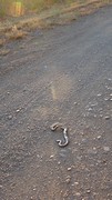 DSC05130