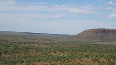 DSC05168