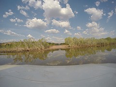G0078941