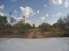 G0098968