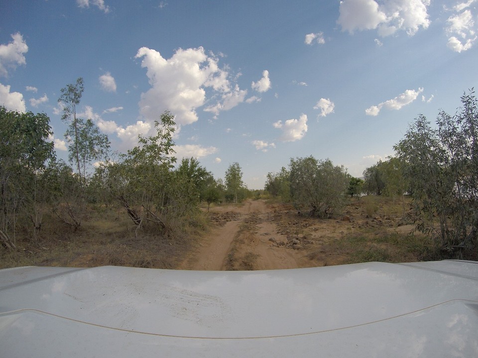 G0098968