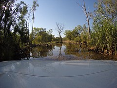 G0109002