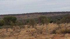 20160502_093335