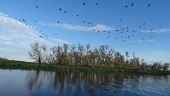DSC05566