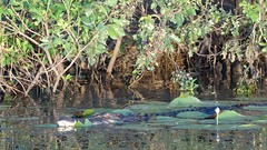 DSC05617