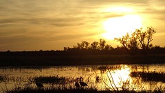 DSC05624