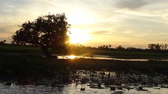 DSC05629