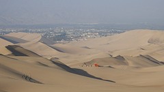 P5230239