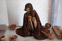 DSCF0305
