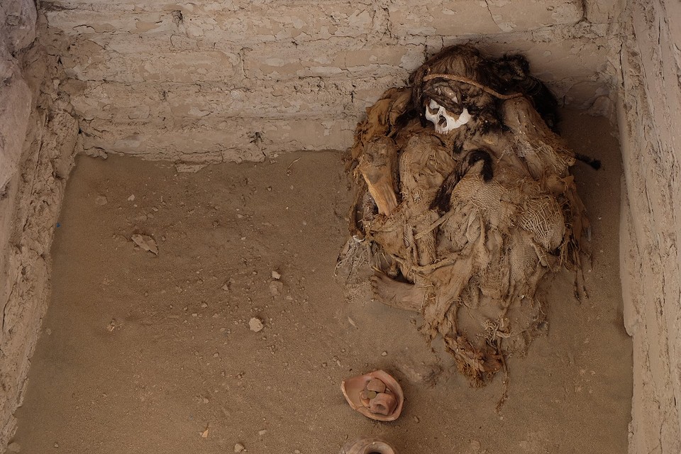 DSCF0322