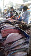 20160528_115201