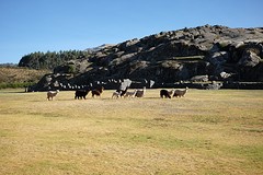 DSCF0412