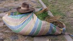 IMG-20160531-WA0022