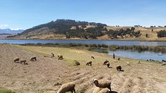 20160602_121416