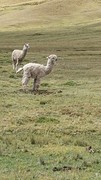 20160604_134156