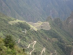 DSC02517