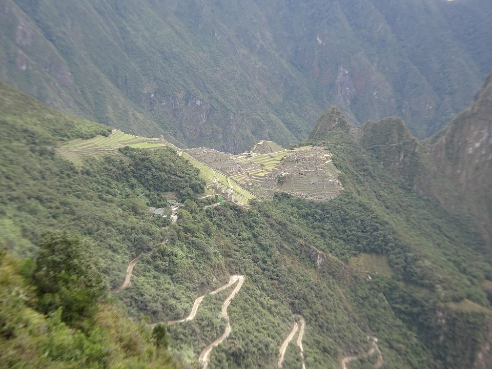 DSC02517