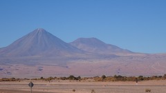 DSC05773