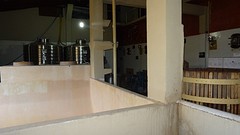 DSC05984