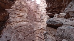 DSC05958