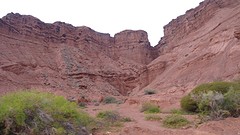 DSC05964