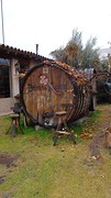 DSC05986