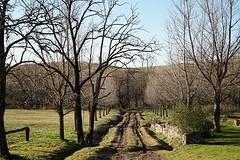 DSC01390