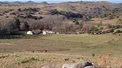 DSC06170